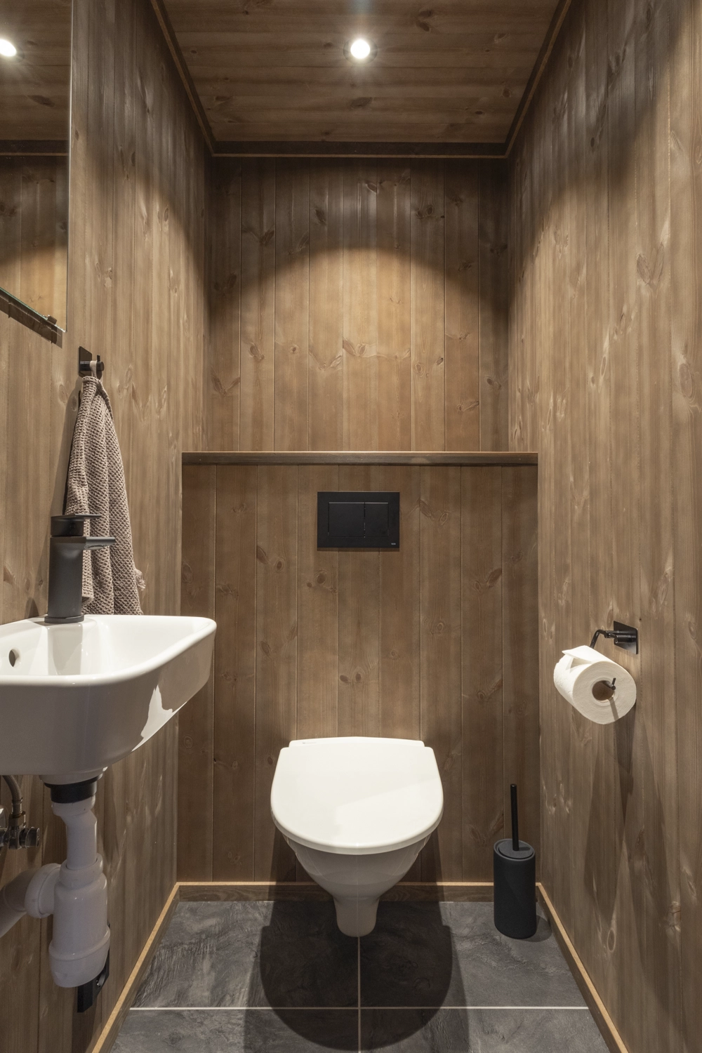 Additional Modern Toilet